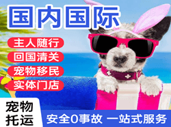 包头东河空运地址国际宠物托运 【国